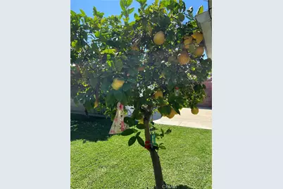 11508 Old River School Road, Downey, CA 90241 - Photo 53