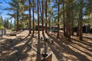 1071 Mountain, Big Bear City, CA 92314 - Photo 15