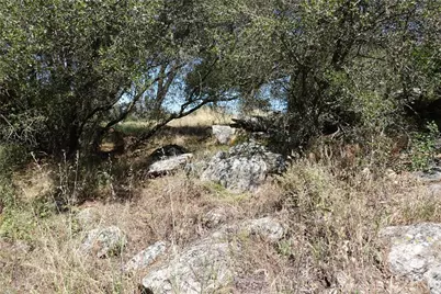0 Running Deer Way, Coarsegold, CA 93614 - Photo 11