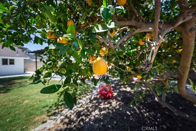 9673 Nightingale Avenue, Fountain Valley, CA 92708 - Photo 47