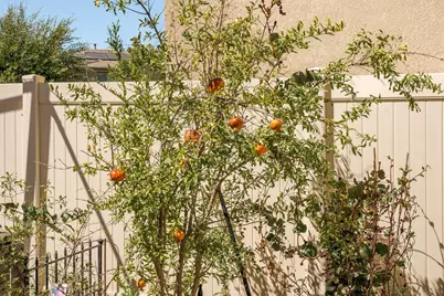 39099 Crown Ranch Rd, Temecula, CA 92591 - Photo 43