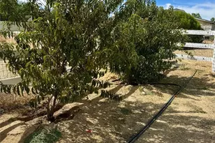 12810 E Ave X, Pearblossom, CA 93553 - Photo 47