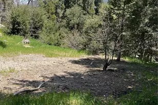 1039 Jungfrau Dr, Crestline, CA 92325 - Photo 1