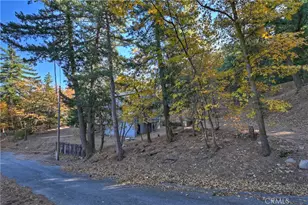 21778 Ridge Dr, Cedarpines Park, CA 92322 - Photo 27