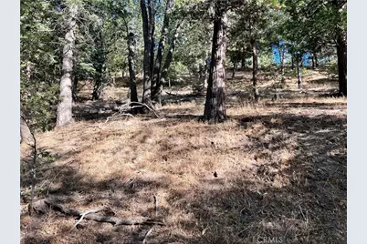 30308 Leprechaun, Running Springs, CA 92382 - Photo 9