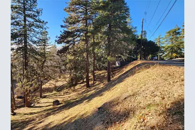 30696 Ferndale Drive, Running Springs, CA 92382 - Photo 9