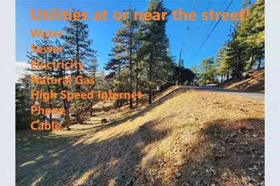 30696 Ferndale Drive, Running Springs, CA 92382 - Photo 5