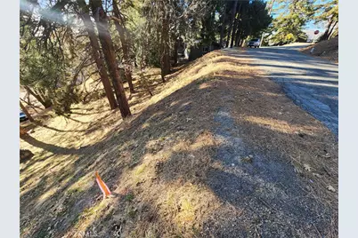 30696 Ferndale Drive, Running Springs, CA 92382 - Photo 11