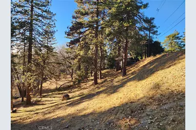 30696 Ferndale Drive, Running Springs, CA 92382 - Photo 21