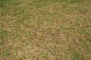 0 Close To Beverly Glen Blvd, Los Angeles, CA 90077 - Photo 1