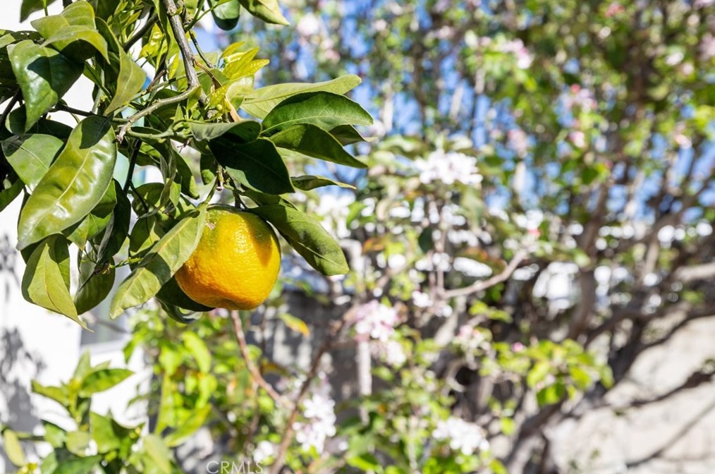 5124 135th St, Hawthorne CA  90250-5630 exterior