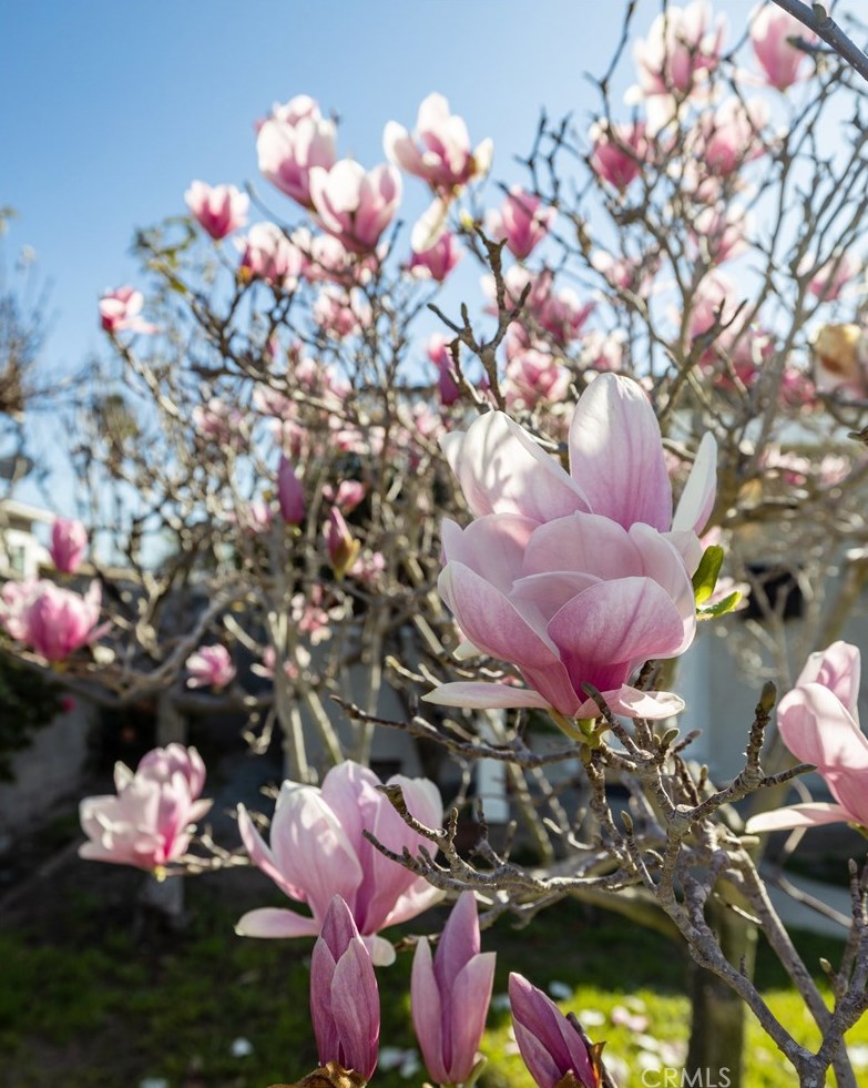 5124 135th St, Hawthorne CA  90250-5630 exterior