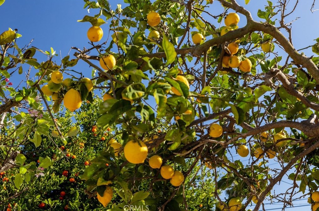 5124 135th St, Hawthorne CA  90250-5630 exterior