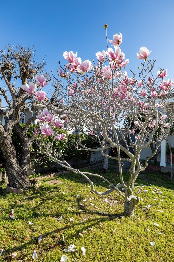 5124 135th St, Hawthorne CA  90250-5630 exterior