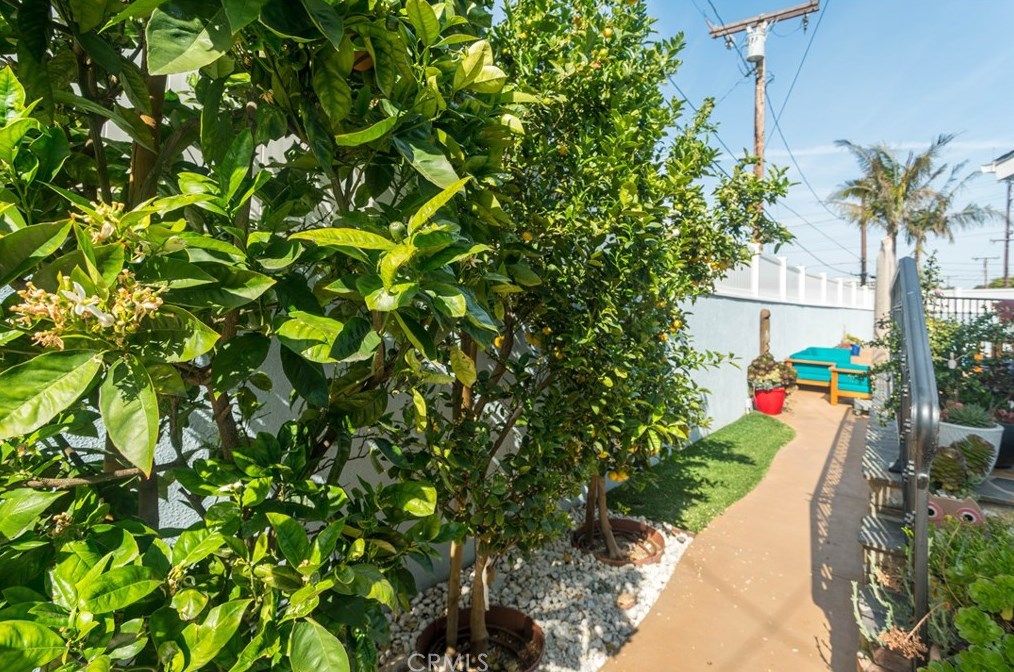 1013 Walnut Ave, El Segundo CA  90245-2550 exterior