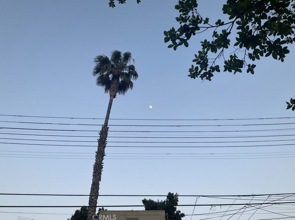 1439 Ellsmere Ave, Los Angeles CA  90019-3823 exterior