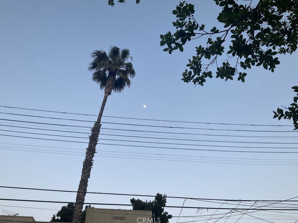 1439 Ellsmere Ave, Los Angeles CA  90019-3823 exterior