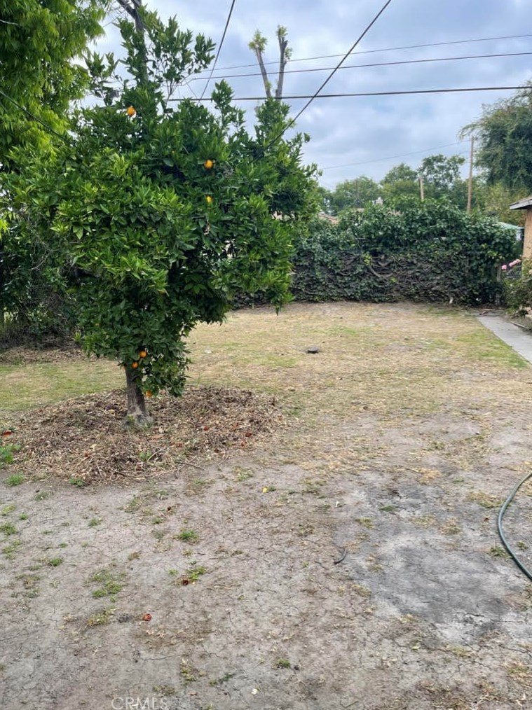 1253 104th St, Los Angeles CA  90047-4519 exterior