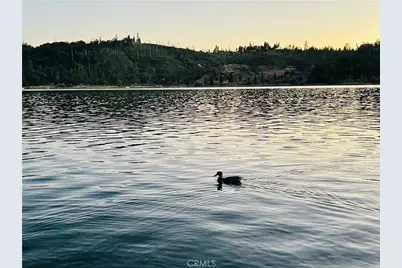 39550 Saunders, Bass Lake, CA 93604 - Photo 27