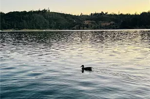 39550 Saunders, Bass Lake, CA 93604 - Photo 27