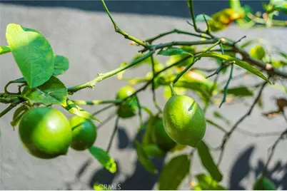 15619 Gerkin Avenue, Lawndale, CA 90260 - Photo 47