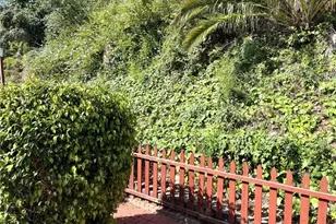 2550 Pacific Cosst Hwy, Torrance, CA 90505 - Photo 15