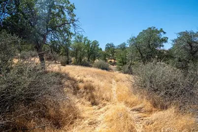 1 Old State Road, Wofford Heights, CA 93285 - Photo 11
