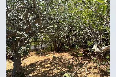 1941 Delta St., Los Angeles, CA 90026 - Photo 5