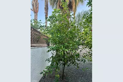 34090 Denise Way, Rancho Mirage, CA 92270 - Photo 33