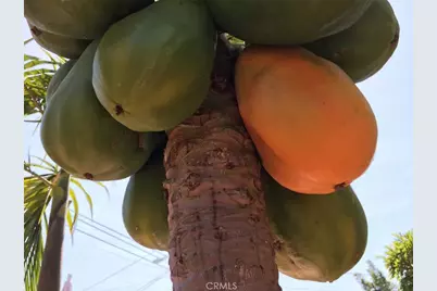 [Address not provided], Gardena, CA 90249 - Photo 53