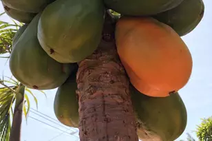 [Address not provided], Gardena, CA 90249 - Photo 53