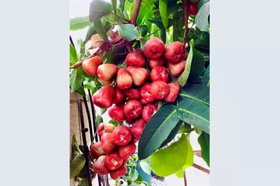 [Address not provided], Gardena, CA 90249 - Photo 55