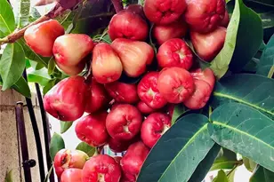 [Address not provided], Gardena, CA 90249 - Photo 55