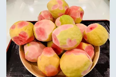 [Address not provided], Gardena, CA 90249 - Photo 59