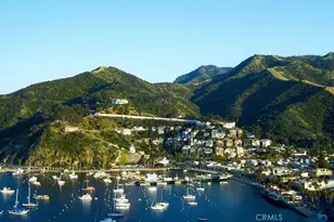 335 Clemente Ave, Avalon, CA 90704 - Photo 11