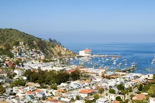 335 Clemente Ave, Avalon, CA 90704 - Photo 9