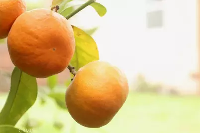 18311 S Harvard Boulevard, Gardena, CA 90248 - Photo 35