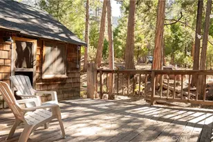 25201 Fern Valley Rd, Idyllwild, CA 92549 - Photo 5