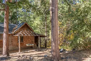 25201 Fern Valley Rd, Idyllwild, CA 92549 - Photo 3