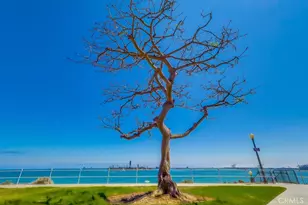 2999 E Ocean Blvd, Long Beach, CA 90803 - Photo 63