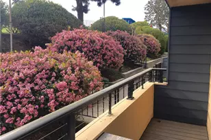 431 Camino de las Colinas, Redondo Beach, CA 90277 - Photo 31