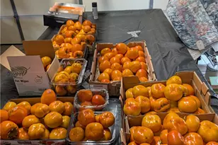 1338 W 221st St, Torrance, CA 90501 - Photo 45