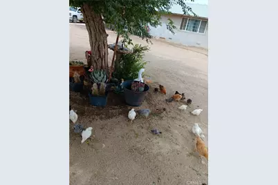 30107 Bourbon, Lucerne Valley, CA 92356 - Photo 29