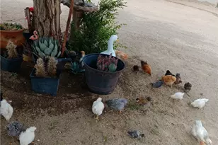 30107 Bourbon, Lucerne Valley, CA 92356 - Photo 29