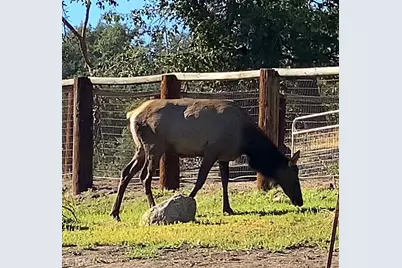 29580 Starland, Tehachapi, CA 93561 - Photo 3