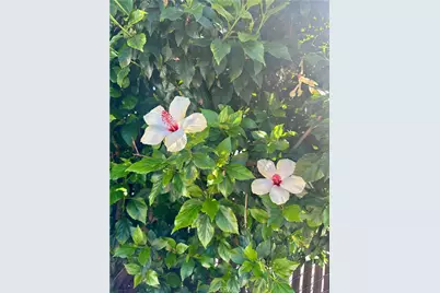 13608 Yukon Avenue, Hawthorne, CA 90250 - Photo 37