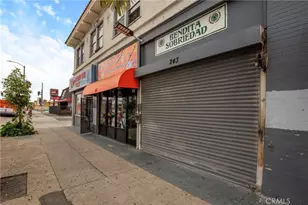 247 W Florence, Los Angeles, CA 90003 - Photo 11