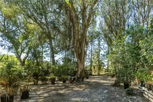 14 Johns Canyon Rd, Rolling Hills, CA 90274 - Photo 21