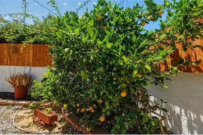 309 S Prospect Avenue, Redondo Beach, CA 90277 - Photo 31