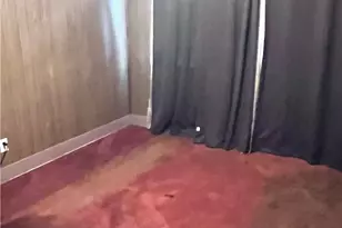 144 W 103rd St, Los Angeles, CA 90003 - Photo 17